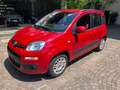 Fiat Panda 1.2 Benzina Neopatentati Rosso - thumbnail 1