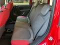 Fiat Panda 1.2 Benzina Neopatentati Rosso - thumbnail 11
