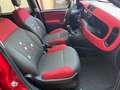 Fiat Panda 1.2 Benzina Neopatentati Rosso - thumbnail 7