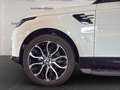 Land Rover Range Rover Sport HSE 7Sitz/PanD/RearTV/21Zo/HUD Blanc - thumbnail 7