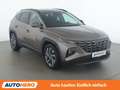 Hyundai TUCSON 1.6 CRDi Mild-Hybrid Trend 4WD Braun - thumbnail 8