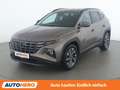 Hyundai TUCSON 1.6 CRDi Mild-Hybrid Trend 4WD Braun - thumbnail 1