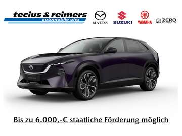 258 Takumi 21 Zoll / neues Modell