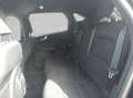 Ford Kuga 2.5 Duratec PHEV ST-LINE Noir - thumbnail 18