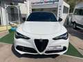 Alfa Romeo Stelvio Stelvio 2023 2.2 t Tributo Italiano Q4 210cv auto Blanc - thumbnail 2