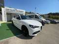 Alfa Romeo Stelvio Stelvio 2023 2.2 t Tributo Italiano Q4 210cv auto Blanc - thumbnail 3