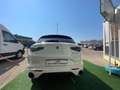 Alfa Romeo Stelvio Stelvio 2023 2.2 t Tributo Italiano Q4 210cv auto Blanc - thumbnail 5