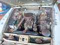 Borgward P100 Beige - thumbnail 19