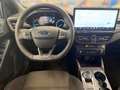 Ford Focus Turnier 1,5 EcoBlue ST-Line Aut. Weiß - thumbnail 9