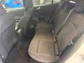 Ford Focus Turnier 1,5 EcoBlue ST-Line Aut. Weiß - thumbnail 7