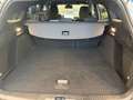 Ford Focus Turnier 1,5 EcoBlue ST-Line Aut. Weiß - thumbnail 13