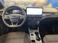 Ford Focus Turnier 1,5 EcoBlue ST-Line Aut. Weiß - thumbnail 8