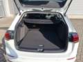 Volkswagen Golf VIII Variant 2.0 TDI DSG Life AHK LED+ ACC Weiß - thumbnail 9