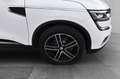 Renault Koleos 2.0 dCi 175 Limited Aut. Weiß - thumbnail 10