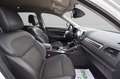 Renault Koleos 2.0 dCi 175 Limited Aut. Weiß - thumbnail 16
