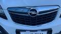 Opel Mokka I 1.6 CDTI 136cv Cosmo 4x2 S&S m6 Blanc - thumbnail 5