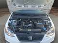 SEAT Ibiza 1.0 TSI Reference PDC+SHZ+KLIMA+SPURASSIST Klima Weiß - thumbnail 9