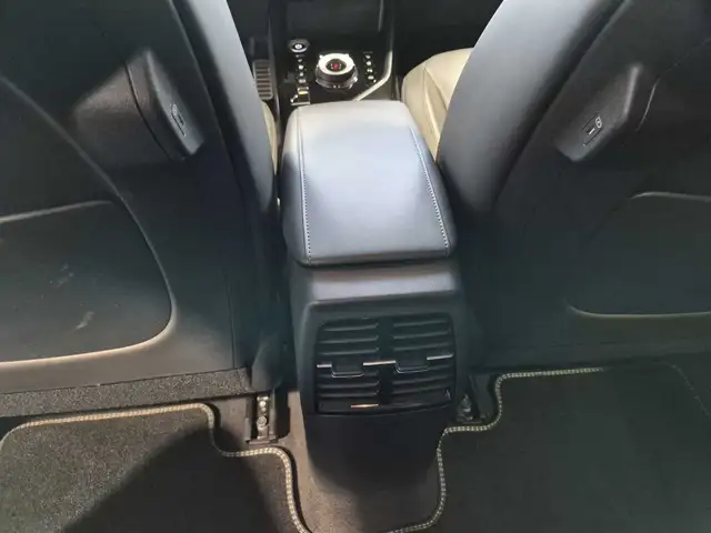 Kia E-Niro view 13