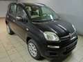 Fiat Panda Panda Schwarz - thumbnail 2