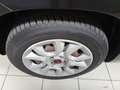 Fiat Panda Panda Schwarz - thumbnail 12