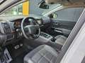 Citroen C5 Aircross PT 180 EAT8 Shine pelle Bianco - thumbnail 9