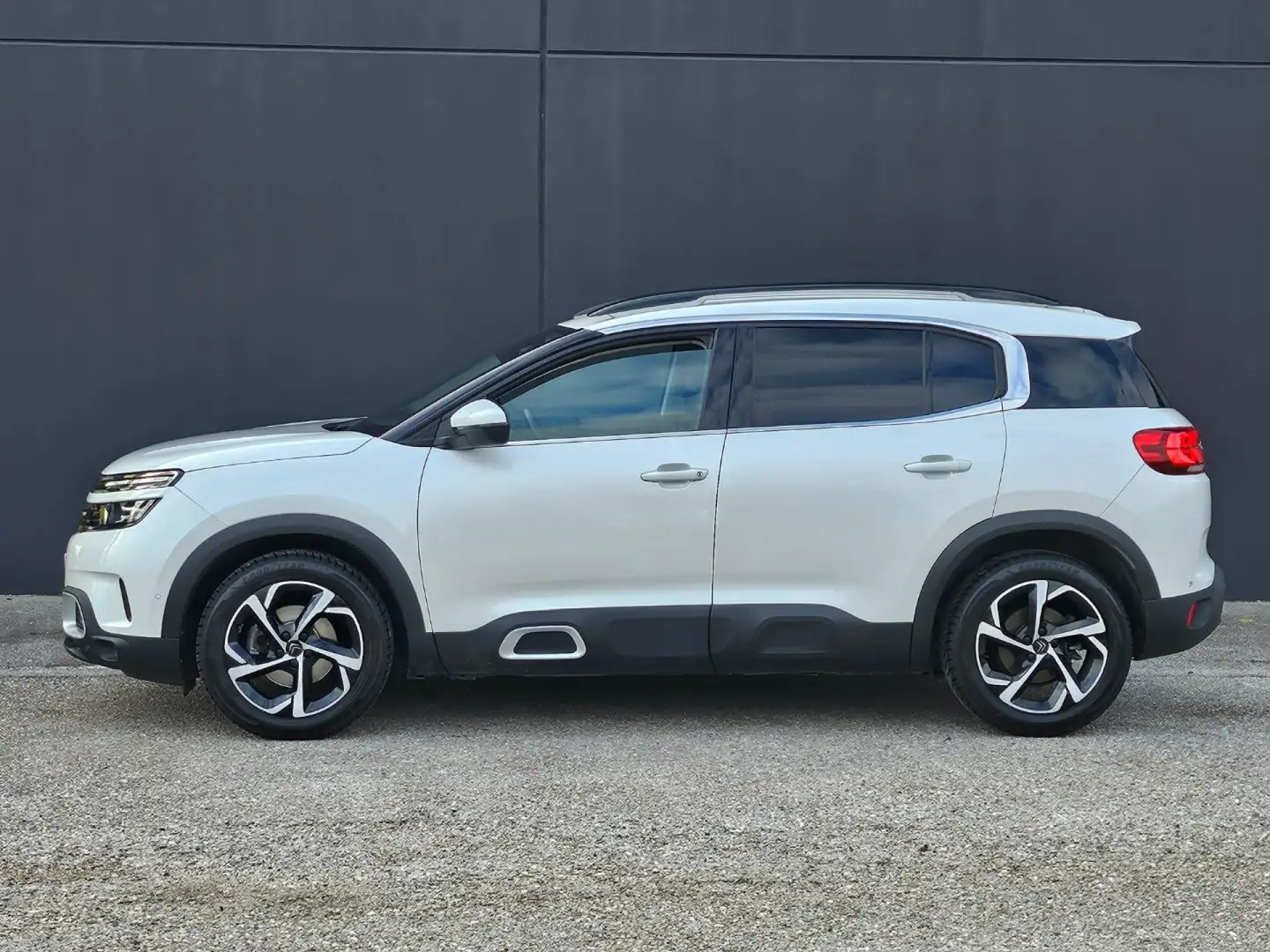 Citroen C5 Aircross PT 180 EAT8 Shine pelle Bianco - 2