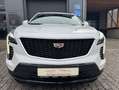 Cadillac XT4 350T AWD Weiß - thumbnail 1