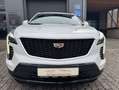 Cadillac XT4 350T AWD Weiß - thumbnail 1