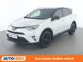 Toyota RAV4 2.5 Hybrid Active Weiß - thumbnail 1