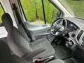 Ford Transit Transit 2,2TDCi L3H1 350 DK Trend Weiß - thumbnail 19