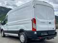 Ford Transit 2,0 EcoBlue L2H2 290 Trend Weiß - thumbnail 3