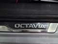 Skoda Octavia 2.0 TSI RS DSG7 195kW Blanco - thumbnail 25