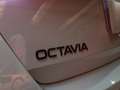 Skoda Octavia 2.0 TSI RS DSG7 195kW Blanco - thumbnail 11