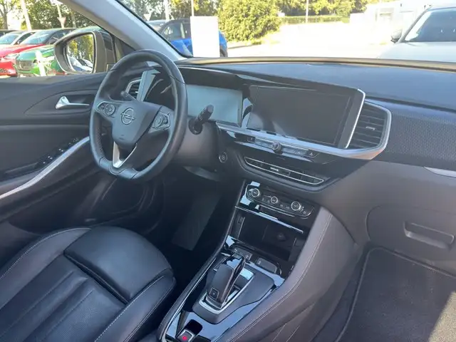 Opel Grandland view 9