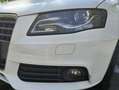 Audi A4 A4 2.0 TDI DPF quattro Ambition - thumbnail 12
