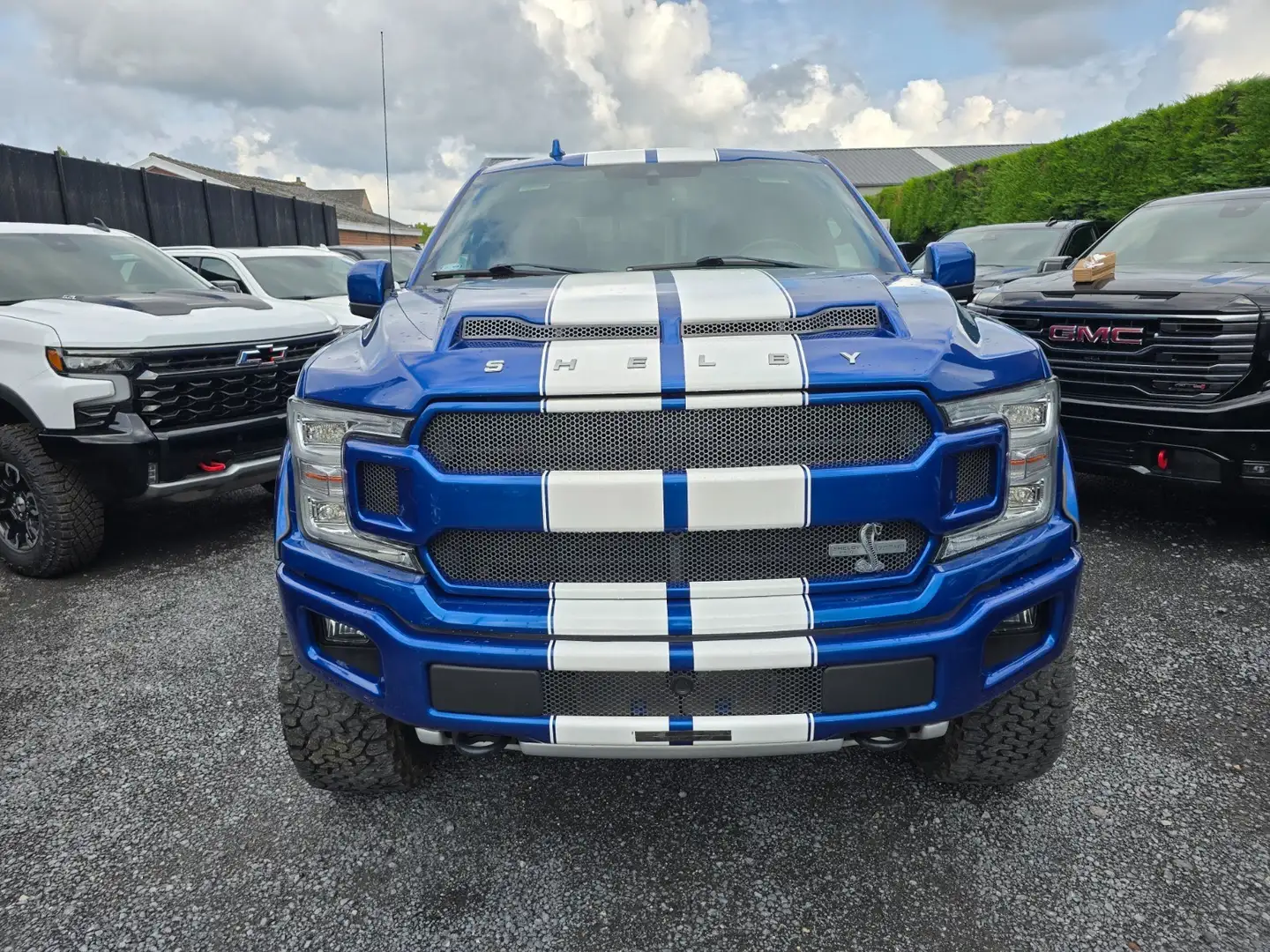 Ford F 150 SHELBY Bleu - 1