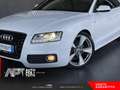 Audi A5 A5 Coupe 3.0 V6 tdi Ambition quattro s-tronic Weiß - thumbnail 27