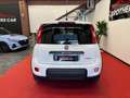 Fiat Panda 1.0 FireFly S&S Hybrid Wit - thumbnail 6