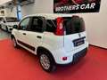 Fiat Panda 1.0 FireFly S&S Hybrid Wit - thumbnail 5