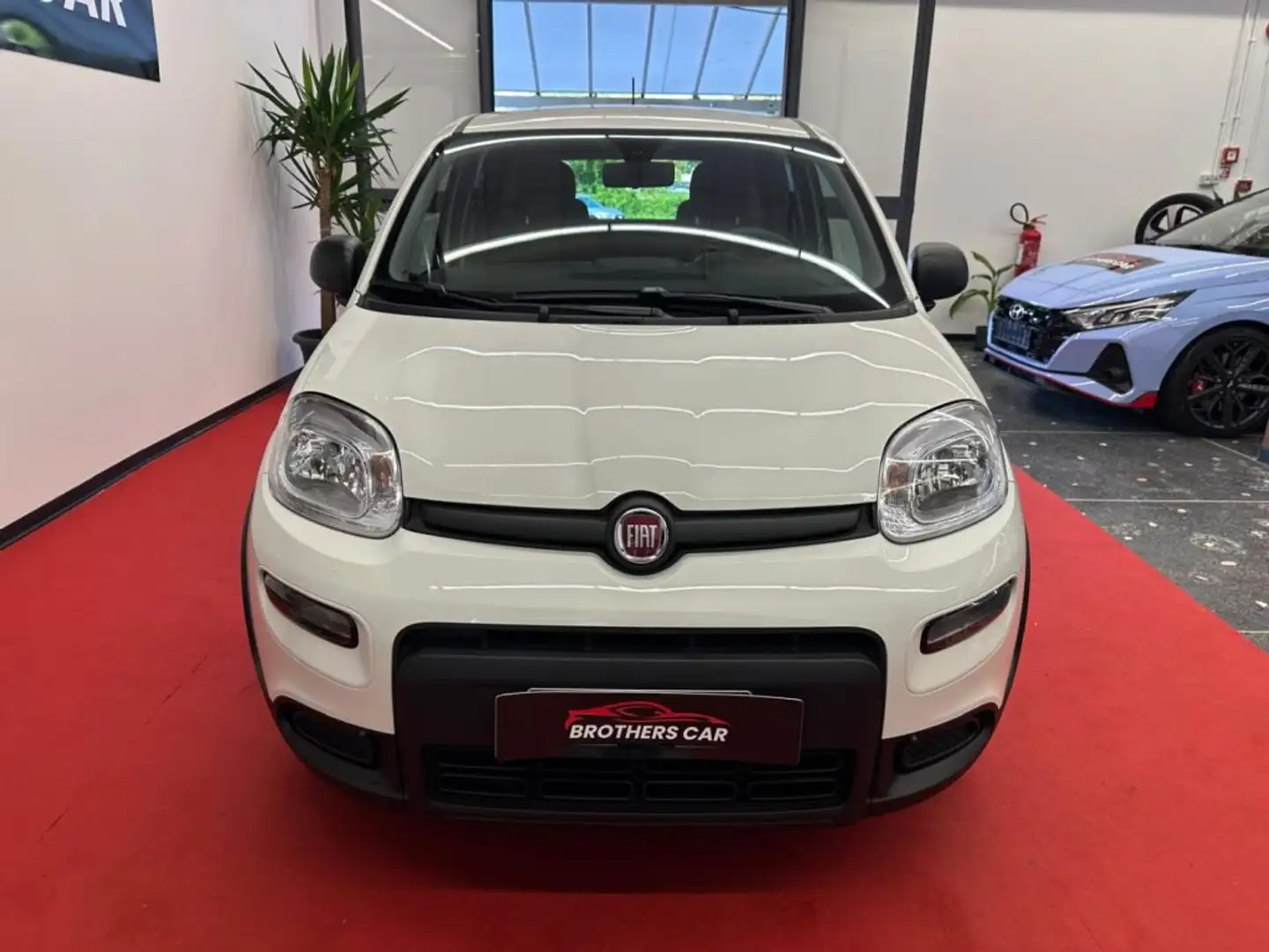 Fiat Panda 1.0 FireFly S&S Hybrid Wit - 2