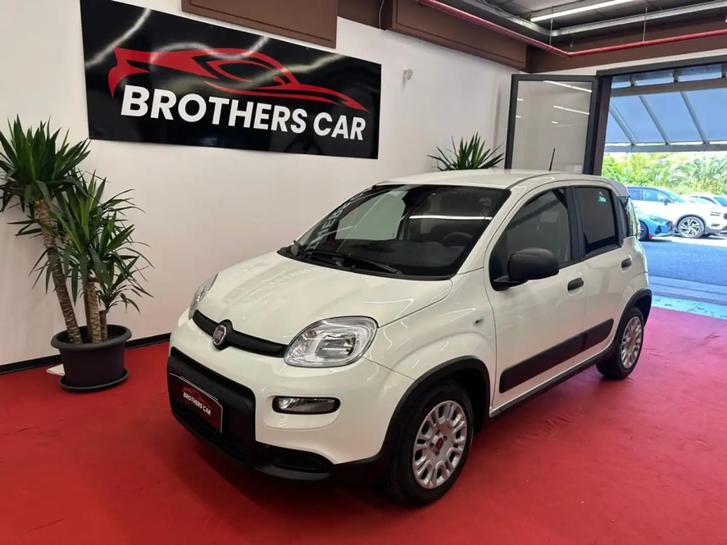 Fiat Panda 1.0 FireFly S&S Hybrid Wit - 1