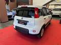Fiat Panda 1.0 FireFly S&S Hybrid Wit - thumbnail 7