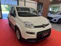 Fiat Panda 1.0 FireFly S&S Hybrid Wit - thumbnail 3