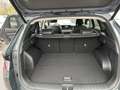 Hyundai TUCSON III 2024 1.6 hev Exellence 2wd auto Grün - thumbnail 10