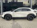 Mazda CX-30 2.0 e-SkyActiv-X M Hybrid 187 PK AUTOMAAT Homura N Wit - thumbnail 4