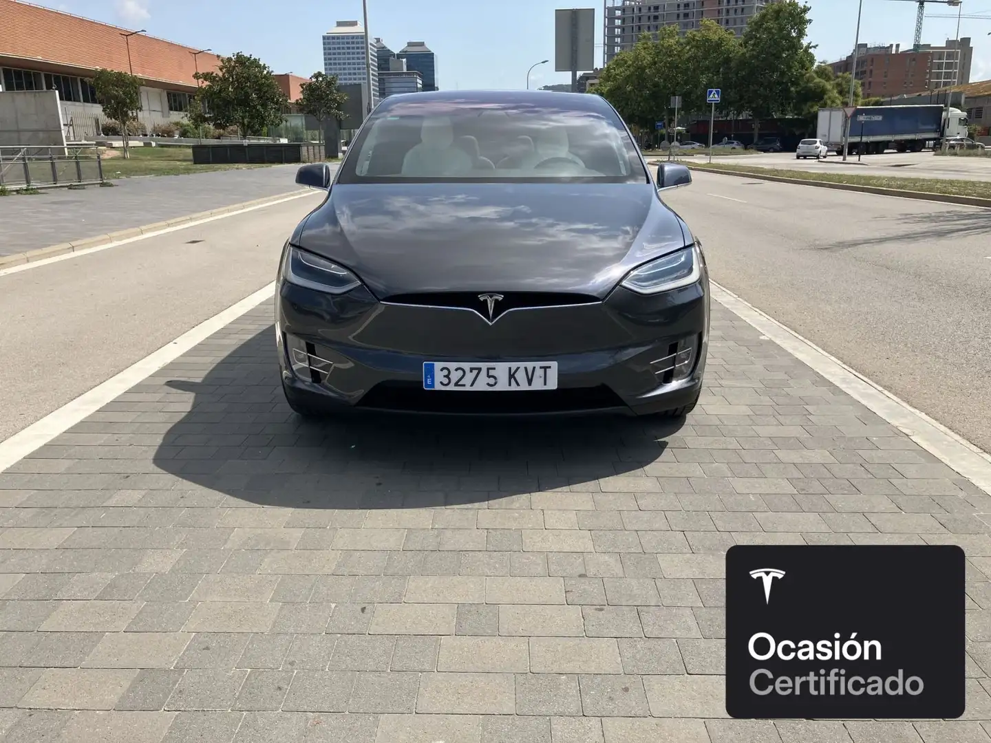 Tesla Model X Long Range AWD Argento - 2