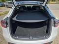 Tesla Model Y Long Range Dual AWD Weiß - thumbnail 16