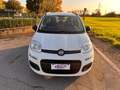 Fiat Panda Panda 1.2 Easy 69cv UnicoProprietario Neopatentati Blanc - thumbnail 2