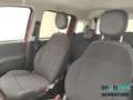 Fiat Panda Panda III 2021 Cross Panda 1.0 firefly hybrid Cro Rosso - thumbnail 13