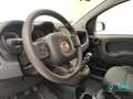Fiat Panda Panda III 2021 Cross Panda 1.0 firefly hybrid Cro Rosso - thumbnail 8